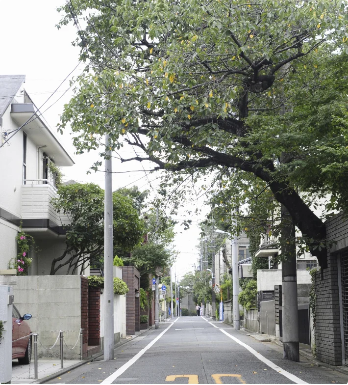 庭の木が育ちすぎて、隣の敷地にはみ出している