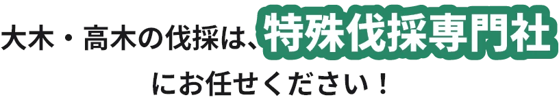 大木・高木の伐採は、特殊伐採専門社にお任せください！