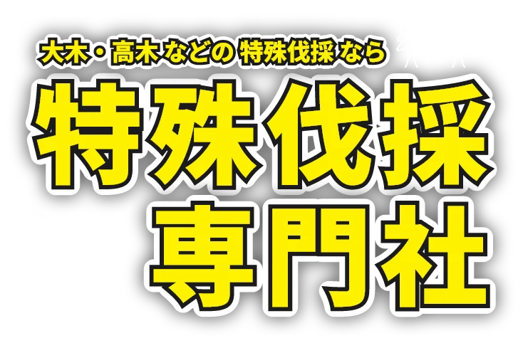 大木・高木 などの 特殊伐採 なら特殊伐採専門社 