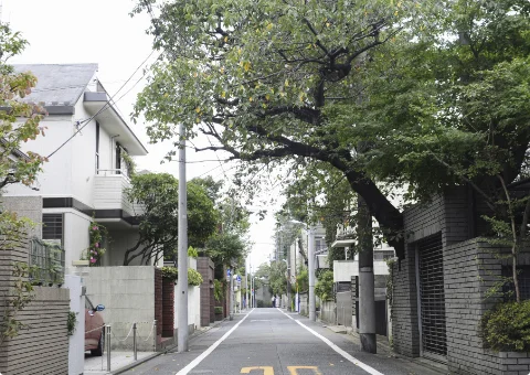 庭の木が育ちすぎて、隣の敷地にはみ出している